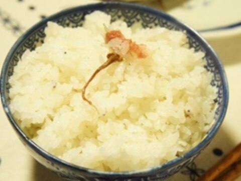 桜満開、お花見弁当にも、桜とじゃこの炊き込みご飯